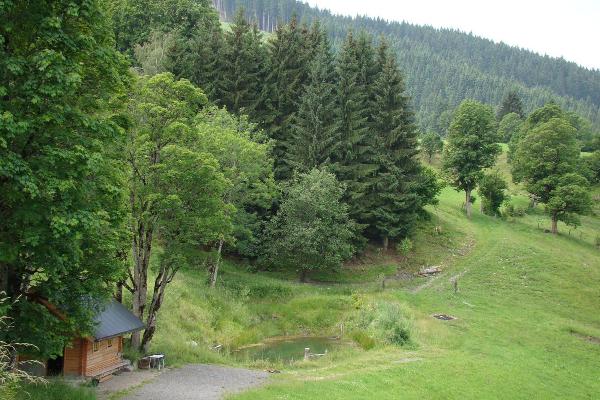 Unterholzhof Vila Piesendorf Exterior foto